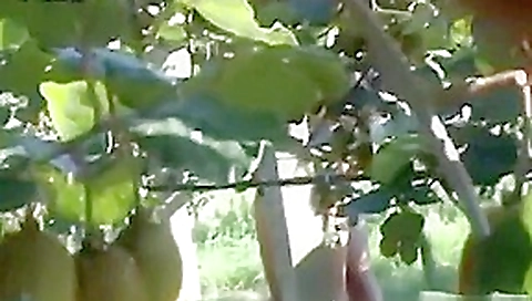 CLIP #197 _ Voyeurismo Public Sex