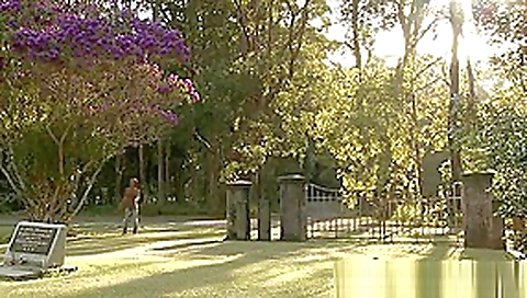 Hot teen 18+ Maturbation in Cemetary