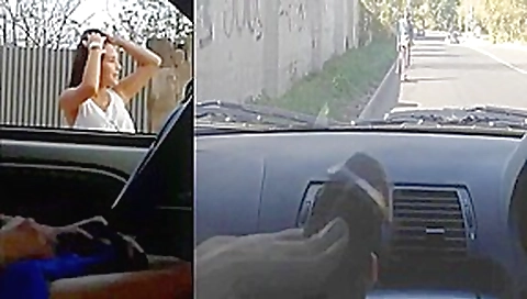 Asking 4 directions dickflash comp