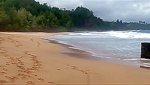 Rafians Beach Safaris 19