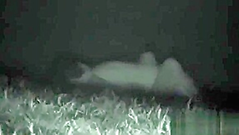 CLIP #203 _ Voyeurismo Public Sex