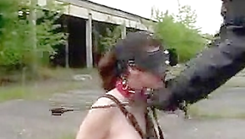 My Little Pony by snahbrandy My Little Pony by snahbrandy