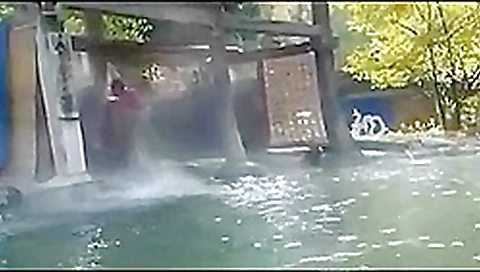 Hot Spring Flash Hot Spring Flash