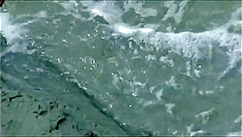 2 girls taking nude pics on the beach