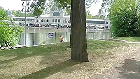 Real outdoor fuck with sexy chick