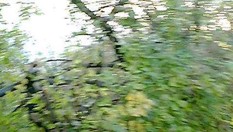 Public adventure with blowjob