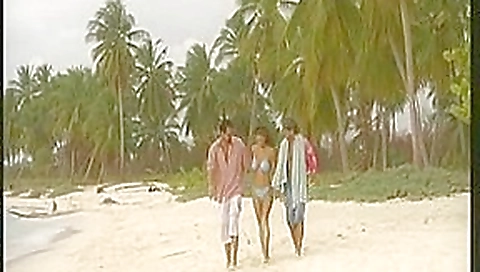 Ravishing brunette hair acquires a double penetration at the beach