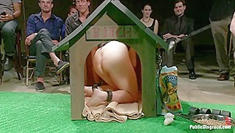 Puppy love Chubby pet turned obedient bitch Puppy love Chubby pet turned obedient bitch