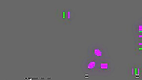 100 innocent girls study the penis 2