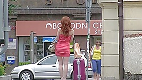 Marvelous cock pleasuring Marvelous cock pleasuring