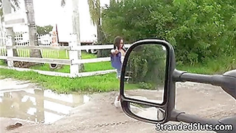 kinky brunette Diamond gets a free dick ride to someone who let her hitched kinky brunette Diamond gets a free dick ride to someone who let her hitched