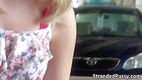 Hottie blonde Dixie gets banged hard by the stranger with a big cock