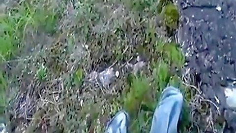 Pantyhose fuck in the forest Pantyhose fuck in the forest