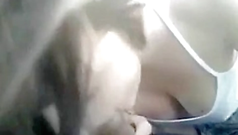 Girlfriend outdoor blowjob