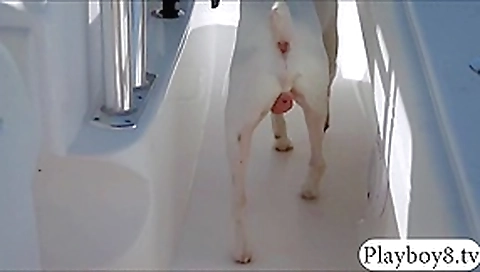 Badass babes are going face to face with cranky crocs