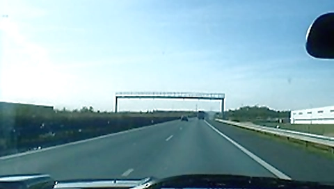 Two wild and lovely babes Two wild and lovely babes