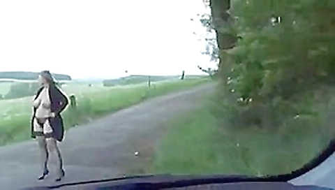 Baise avec une cochonne