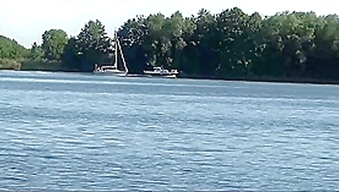 fuck in the park this is a mission for the whores masked