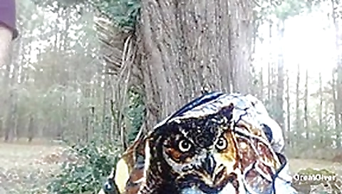 Nasty bimbo fucks a big dildo in the outdoors