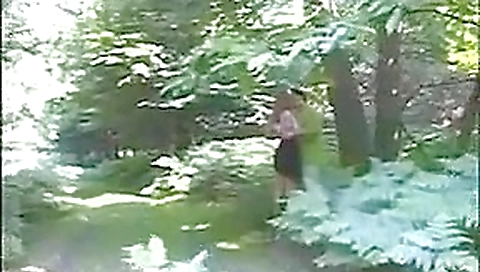 dogging in woods dogging in woods